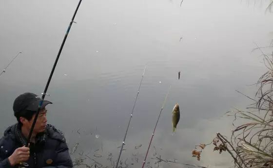 【钓鱼技巧】冬季钓鱼的六个实用要点