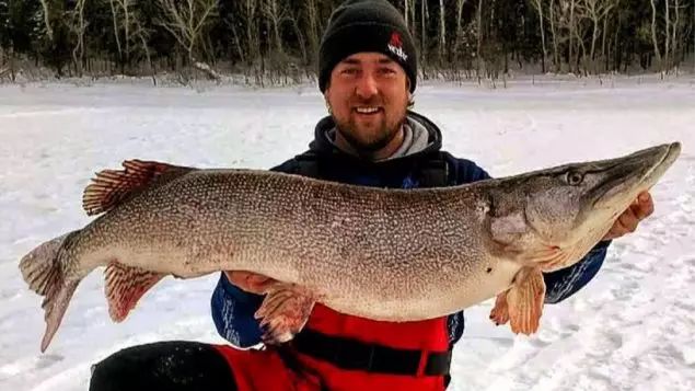 【巨大收获】加拿大魁省一男子冰钓：结果钓上15公斤大鱼