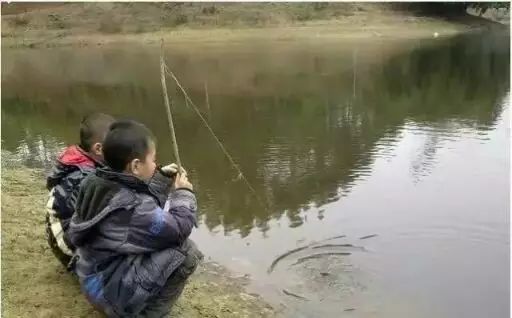 钓鱼的人为什么穷，看完我哭了！