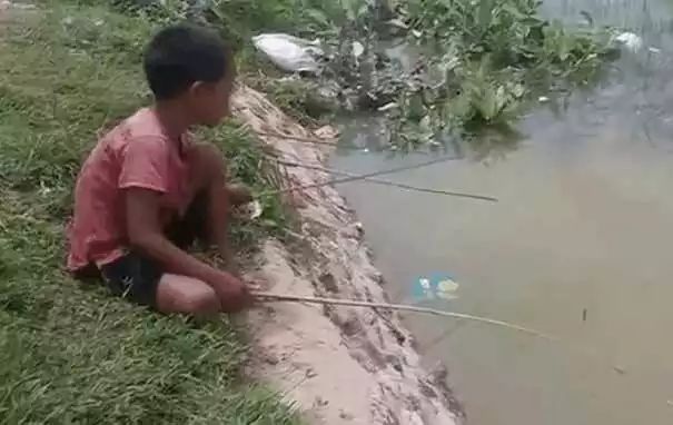 5岁小男孩自制四根鱼竿钓鱼, 开始以为在钓龙虾, 没想到钓到这货