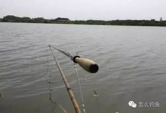 一篇钓鱼的好文章，钓鱼必看！