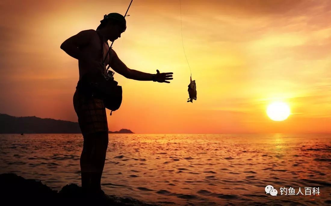 钓鱼新手到钓鱼高手的这些过程你都经历过吗？