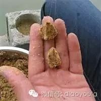 饵料的四种状态影响聚鱼效果好！