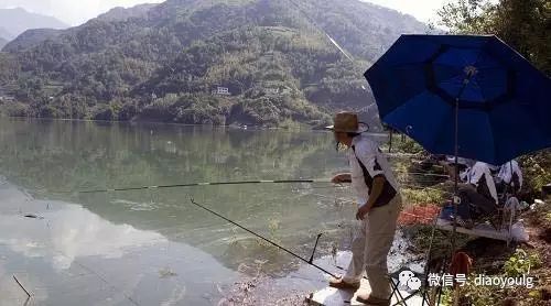 野钓大师吐血总结，一定要看！