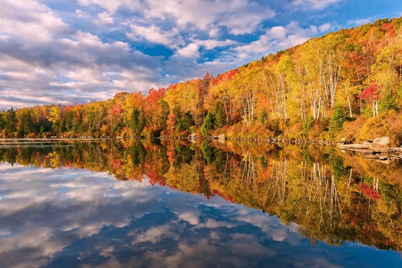 今年秋天到 Vermont 赏秋景：在最美的季节，感受最难忘的新英格兰之美