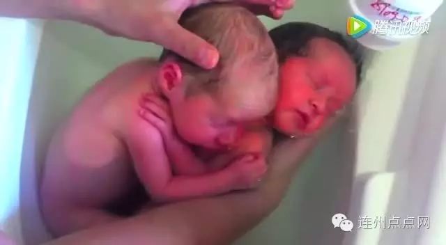 把刚出生双胞胎放水里，他们以为还没出生，太震撼！