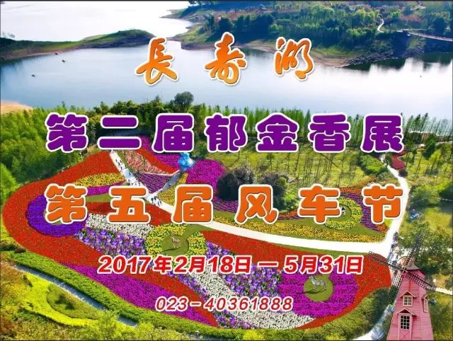 重庆高速好任性，免费游长寿湖郁金花海风车乐园啦！