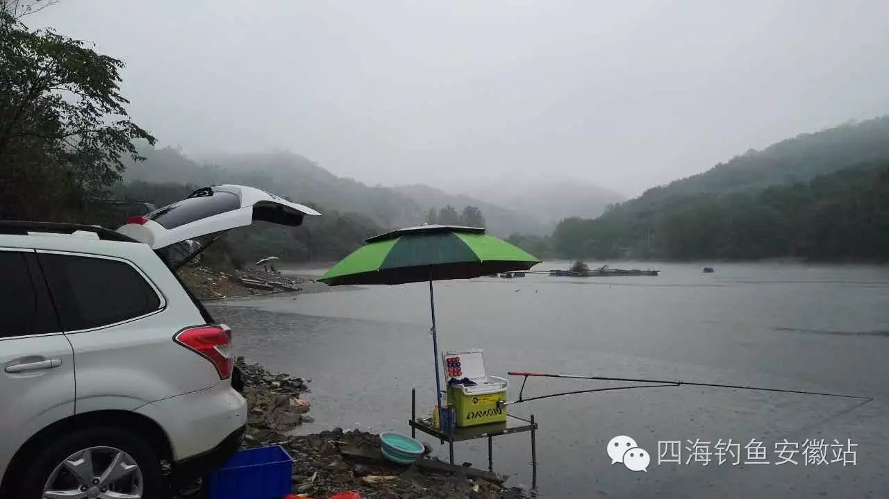 阴雨连绵探钓巢湖苏湾水库