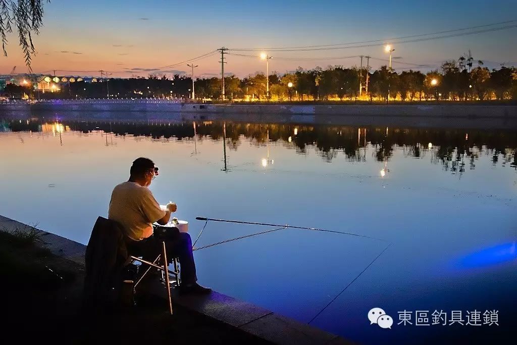 “台钓技巧”如何在野外夜钓巨型草鱼？