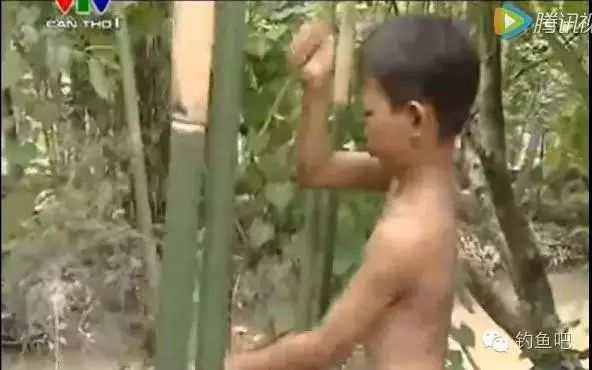 【视频】勾起美好童年的回忆：越南小孩子砍竹竿当鱼竿 开开心心去钓鱼