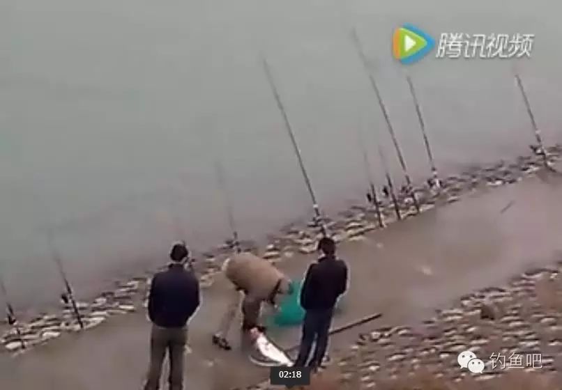 【视频】一百根鱼竿摆一排钓鱼 想钓不到鱼都难啊！