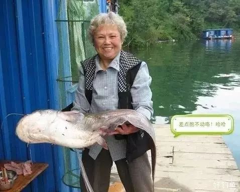 近80岁高龄的钓鱼人夫妇，十年游钓214个湖库！
