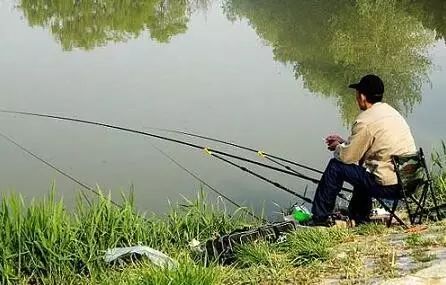 钓鱼被认为是最有前途的休闲养生活动