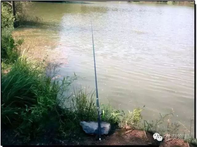 池塘钓鱼选择钓点的技巧14条