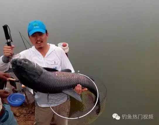 钓友钓了个巨无霸青鱼……48斤!