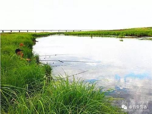 【钓鱼技巧】春季江河钓点选择的几点经验！