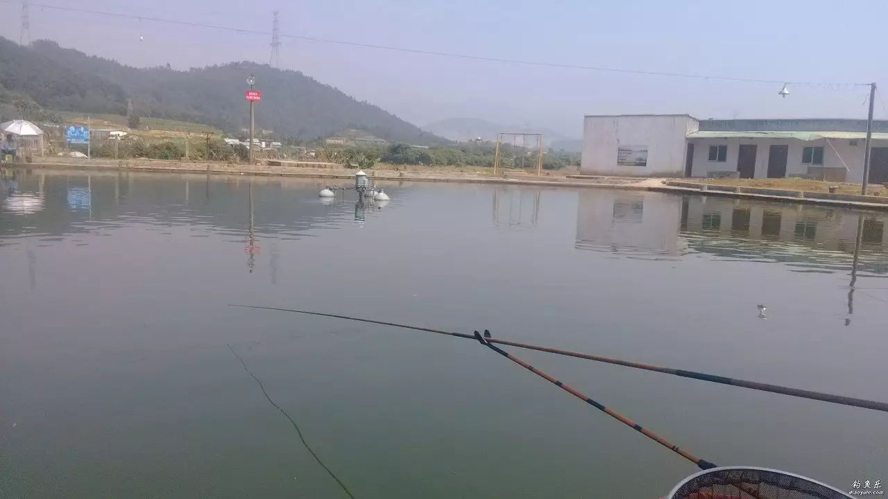 【钓鱼视频】钓鱼抛竿不能太满
