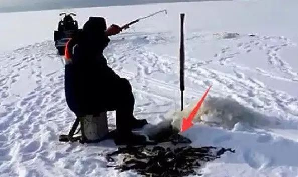 （视频）高手玩冰钓，不换饵5秒就上一条鱼