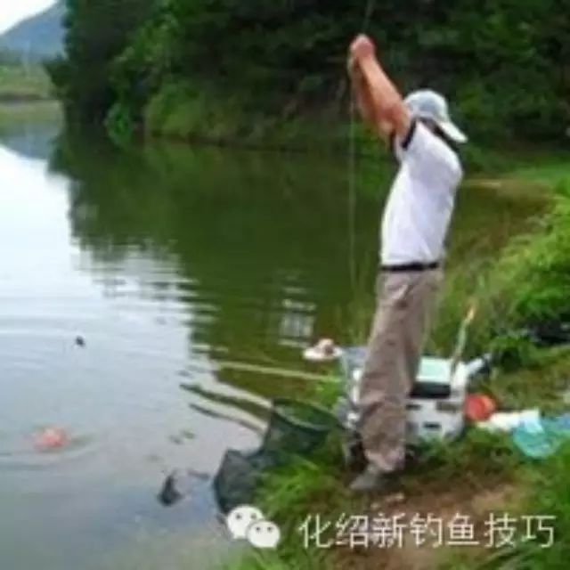 钓鱼高手自制茴香型钓鱼小药，留鱼就靠它。