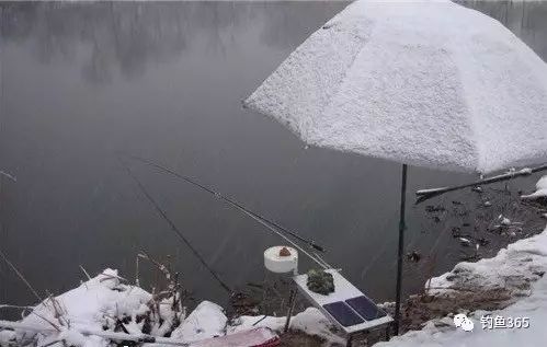 【钓鱼技巧】您知道下雪后什么时候最好钓鱼吗？？？