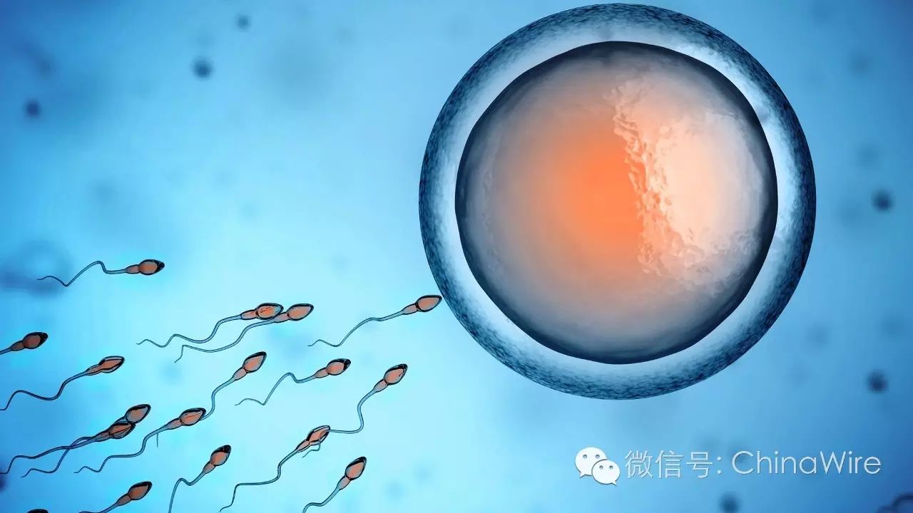 Sperm Crisis in China is Getting Worse