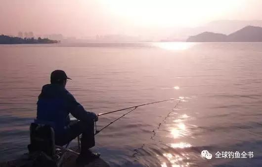如何享受钓鱼的乐趣？