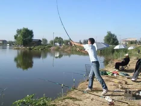 初学钓鱼如何选择一款合适的鱼竿
