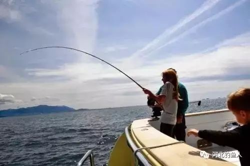 【钓鱼奇闻】钓鱼的魅力，88岁了还能这么干，愿天下钓鱼人，身体健康