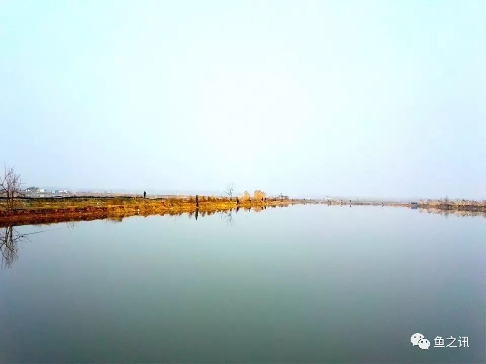 泗洪钓鱼日记-洪泽湖边的长征 17.2.6