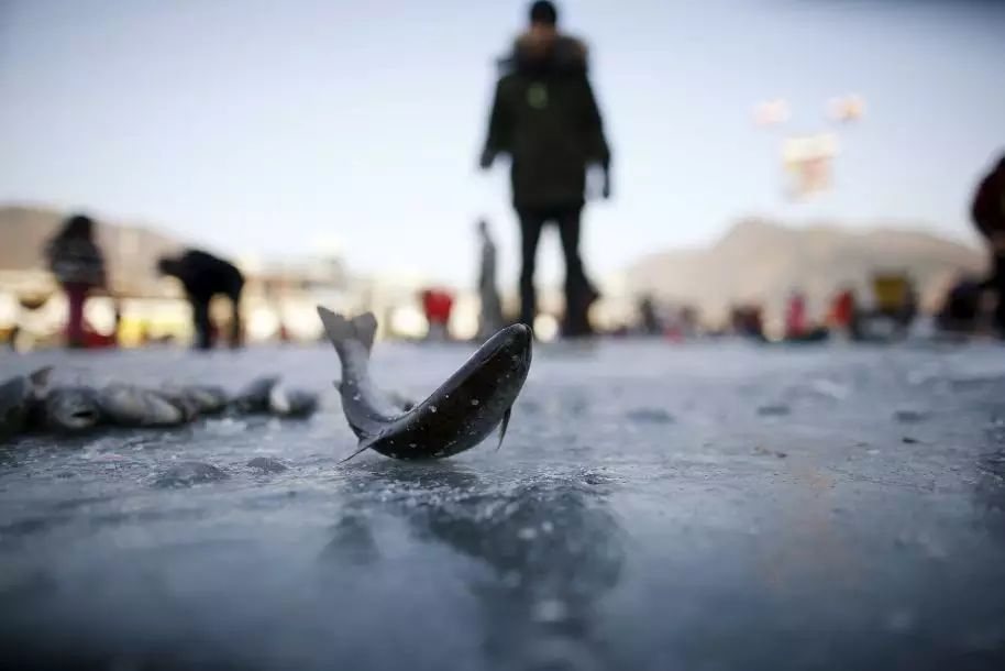 冬日限定－ 华川山鳟鱼庆典、首尔江原道滑雪纯玩六天游