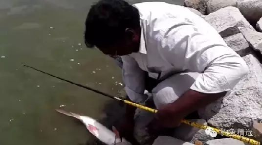 印度阿三的钓鱼方式，就是不一样！