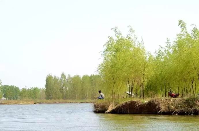【江湖钓技】春季垂钓人找鱼，走钓实战技巧！