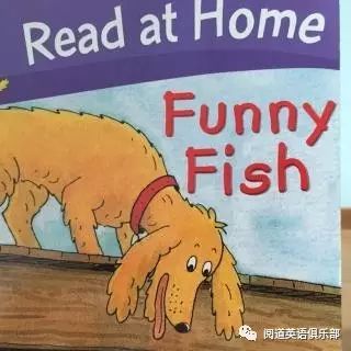 阅读锦囊课程 Funny Fish