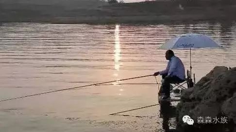 【钓鱼杂谈】男人们为什么喜欢去钓鱼