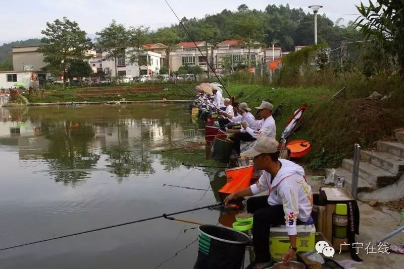 【在线•城事】广宁县“会员杯”钓鱼比赛，高手云集，你也想来吗?