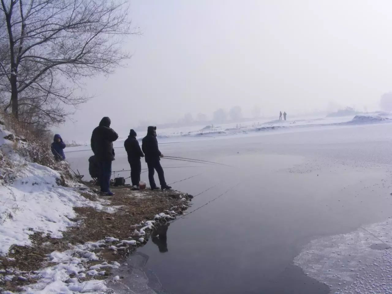 【钓鱼技巧】冬天野钓水库不为人知的小药