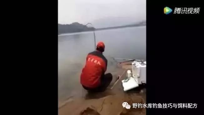 【钓鱼视频】最敬业的钓鱼人，可惜被鱼竿坑了……