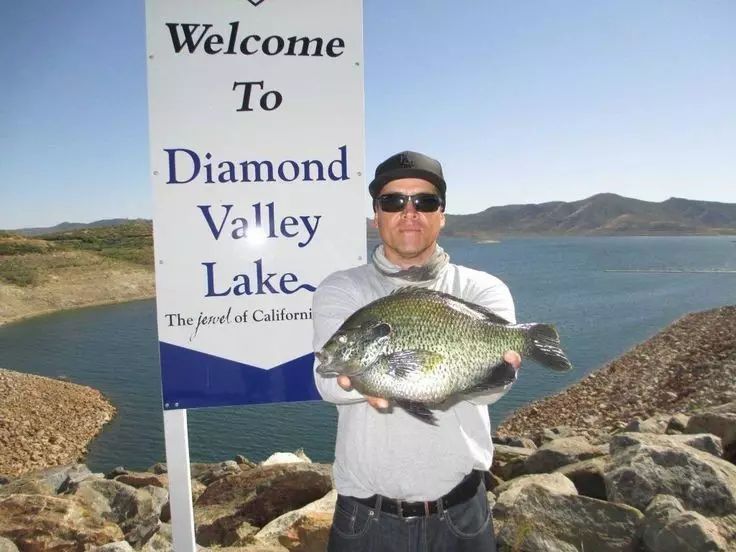 钓点 | 南加钻石湖，加州最年轻的水库和最佳钓点