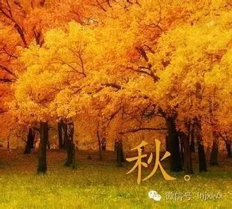 【中国美】雪山，红叶，瀑布，草原……这才是秋天最美的样子！