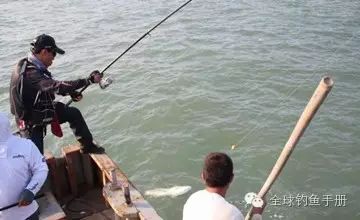 夏末初秋海竿串钩钓鱼的技巧