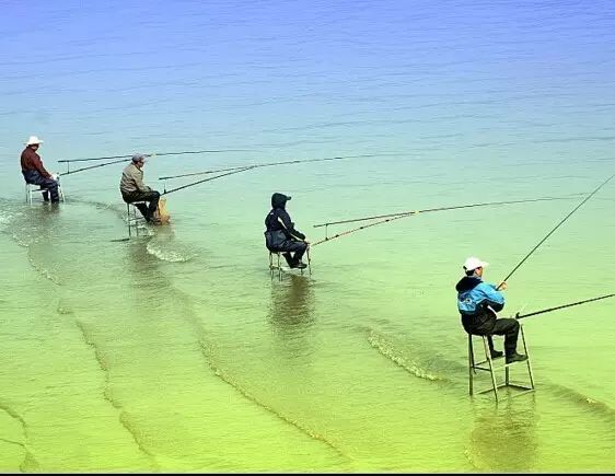 深圳这些地方可以免费钓鱼，择日我要来个全鱼宴!