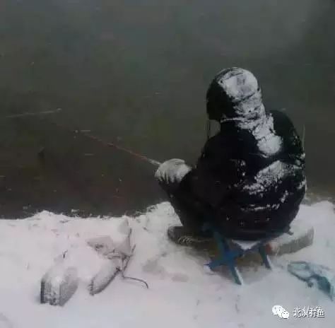 冬季垂钓鲫鱼调漂技巧图解，让冬钓渔获多多