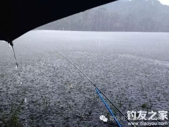 秋天下雨天钓鱼的钓饵选择技巧和钓法