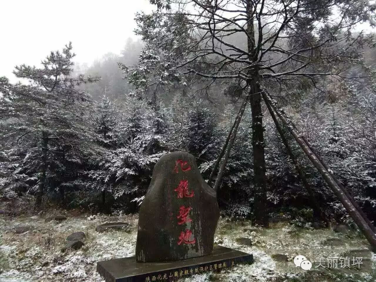 镇坪2016年第一场雪，刷爆朋友圈