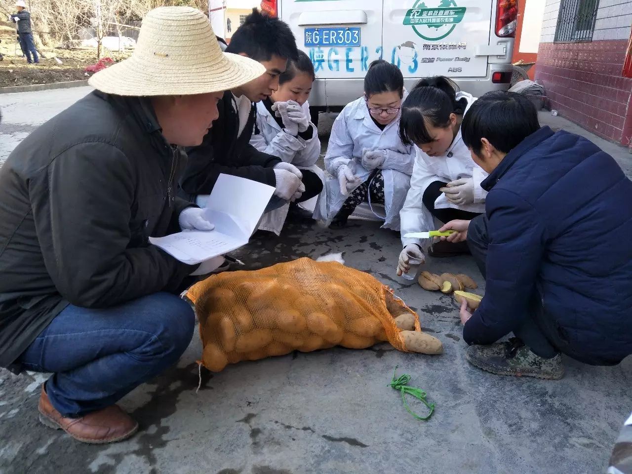 穿白大褂种洋芋，刀要用酒精消毒，他们这是要做啥？