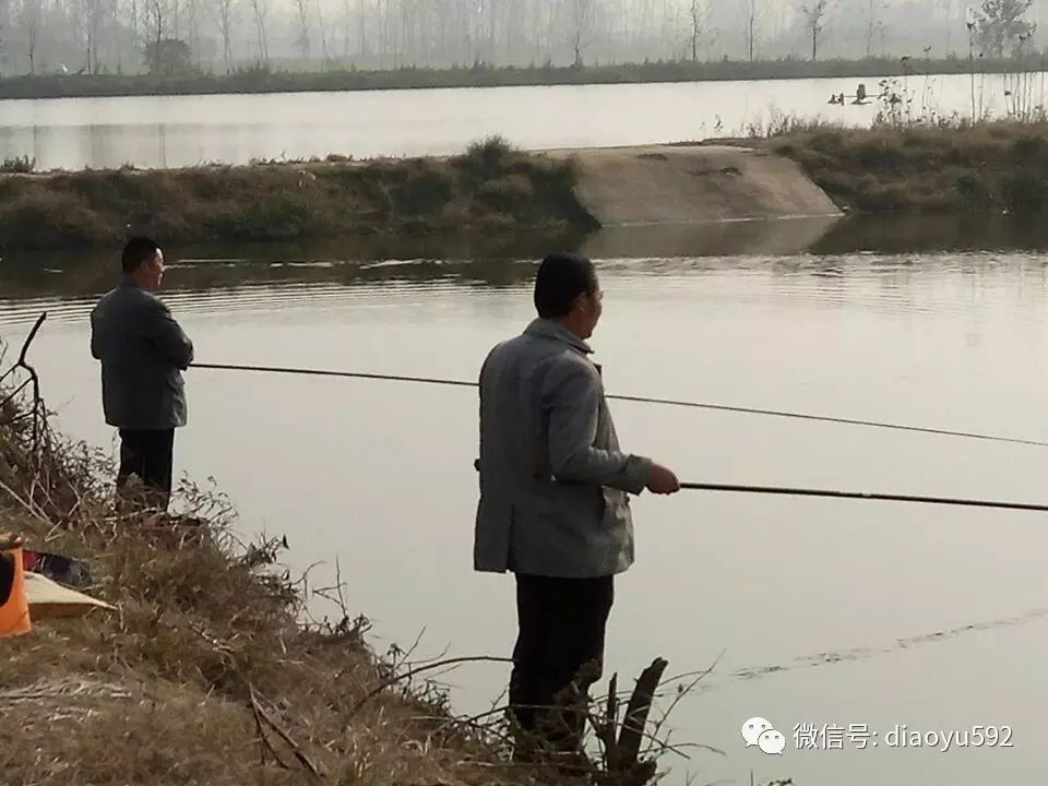 【视频】农家鱼塘垂钓乐！连连上钩！