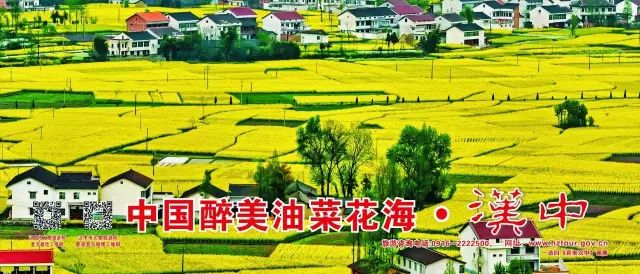 2017陕西汉中油菜花赏花攻略30个观花点免费全景开放