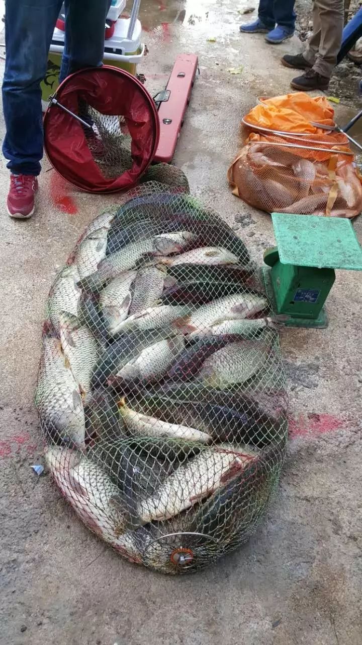 蓬莱山庄热塘钓友渔获分享
