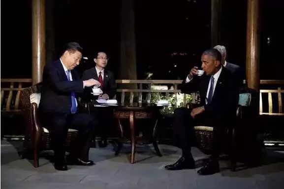 聚焦G20峰会：中国茶香，香飘世界！