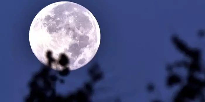 圣经中的月亮——从创造，到团圆